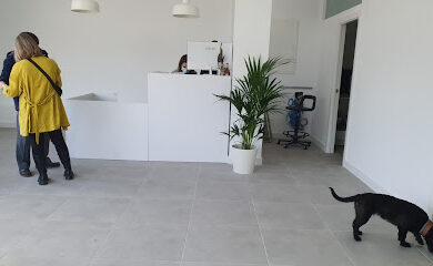 Veterinarios en Jerez de la Frontera 4 Veterinario Clínica Veterinaria Gran Duque