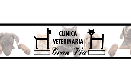Clínica Veterinaria Gran Vía 1 Veterinario Clínica Veterinaria Gran Vía