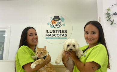 Veterinarios en Utrera 3 Veterinario Clínica Veterinaria Ilustres Mascotas