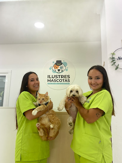 Clínica Veterinaria Ilustres Mascotas 1 Veterinario Clínica Veterinaria Ilustres Mascotas