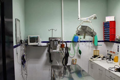 Clínica Veterinaria Jayda 1 Veterinario Clínica Veterinaria Jayda