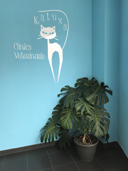 Clínica Veterinaria Katuxa 1 Veterinario Clínica Veterinaria Katuxa