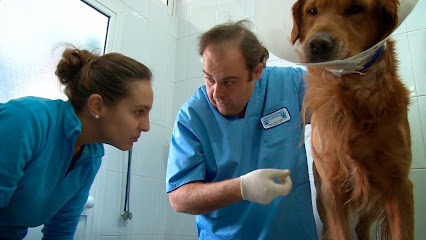 Clinica Veterinaria La Huella (Bormujos) 1 Veterinario Clinica Veterinaria La Huella (Bormujos)