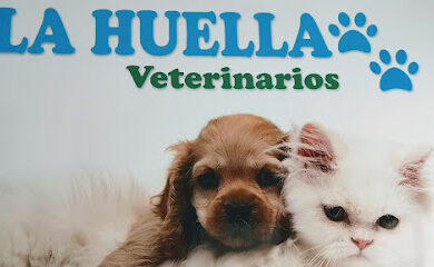 Veterinarios en Umbrete 1 Veterinario Clínica Veterinaria La Huella (Umbrete)