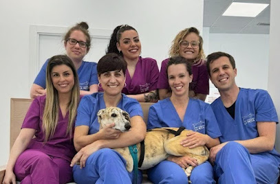 Veterinario Clínica Veterinaria La Mota