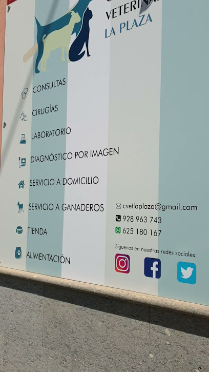 Veterinario Clínica Veterinaria La Plaza