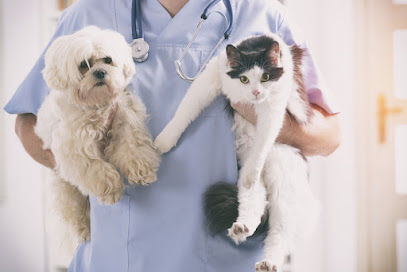 Clinica Veterinaria Larrucea 1 Veterinario Clinica Veterinaria Larrucea