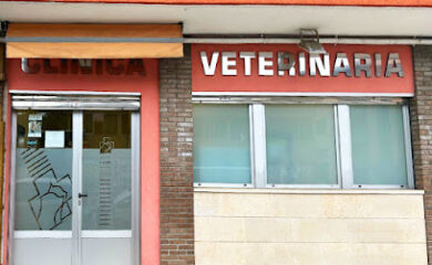 Veterinario Clínica Veterinaria Lasarte