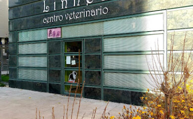 Veterinario Clínica Veterinaria Linneo