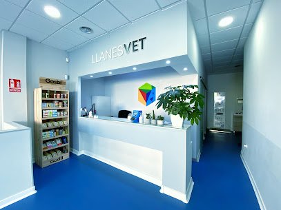 Veterinario Clínica Veterinaria Llanesvet