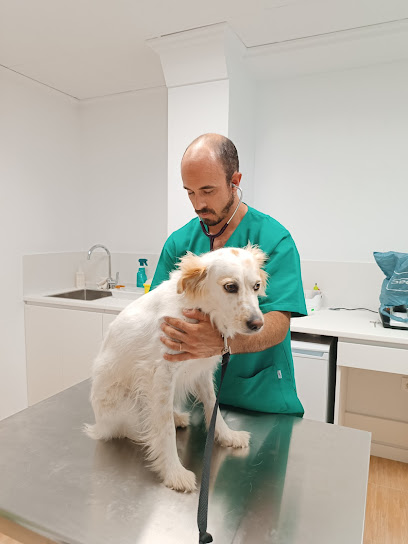 Veterinario Clínica Veterinaria Llopet / Vet. Blas Llopis Sanchis / URGENCIAS /Oliva