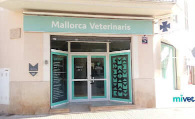 Veterinario Clínica Veterinaria Llucmajor | MiVet