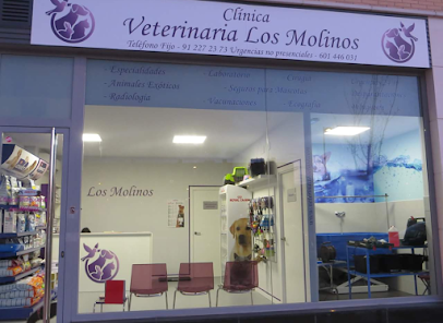 Clínica Veterinaria Los Molinos 1 Veterinario Clínica Veterinaria Los Molinos