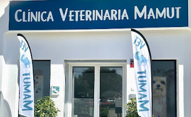 Veterinario Clínica Veterinaria Mamut