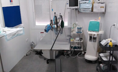 Veterinarios en Umbrete 2 Veterinario Clinica Veterinaria Manuel Jimenez