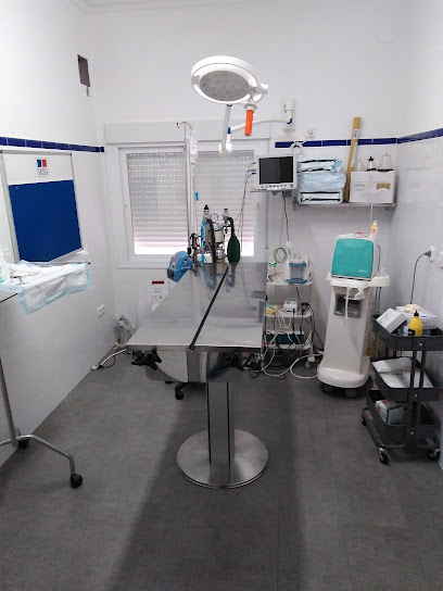 Clinica Veterinaria Manuel Jimenez 1 Veterinario Clinica Veterinaria Manuel Jimenez