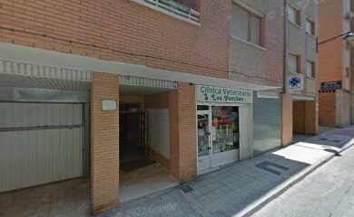 Veterinario Clínica Veterinaria María Jesús Pérez