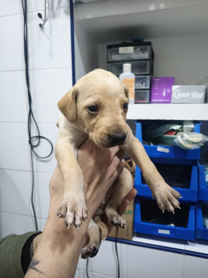 Clinica Veterinaria Marquesa de Pinares 1 Veterinario Clinica Veterinaria Marquesa de Pinares