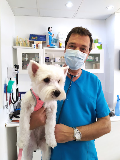 Clinica Veterinaria Mascotas 1 Veterinario Clinica Veterinaria Mascotas
