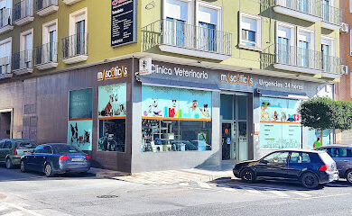 Veterinarios en Jumilla 2 Veterinario Clinica Veterinaria Mascoticas