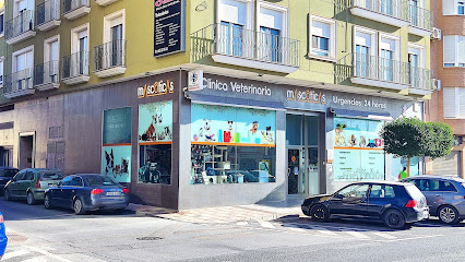 Clinica Veterinaria Mascoticas 1 Veterinario Clinica Veterinaria Mascoticas