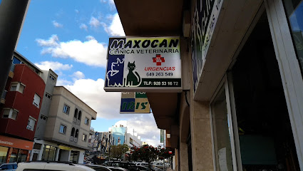 Clinica Veterinaria Maxocan 1 Veterinario Clinica Veterinaria Maxocan