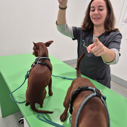 Clínica Veterinaria Mediterránea Vet Practice 1 Veterinario Clínica Veterinaria Mediterránea Vet Practice