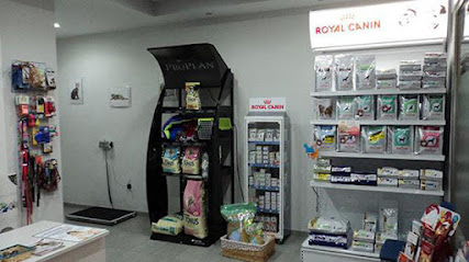 Clinica Veterinaria Mediterraneo 1 Veterinario Clinica Veterinaria Mediterraneo