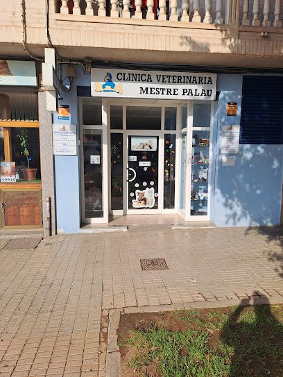 Veterinario Clínica Veterinaria Mestre Palau