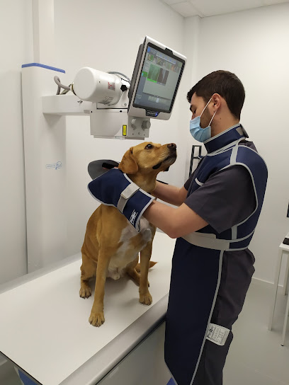 Clínica Veterinaria Meu Vet 1 Veterinario Clínica Veterinaria Meu Vet