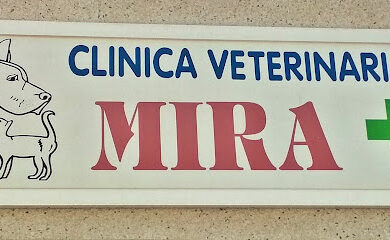 Veterinario Clínica Veterinaria Mira