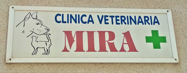 Clínica Veterinaria Mira 1 Veterinario Clínica Veterinaria Mira