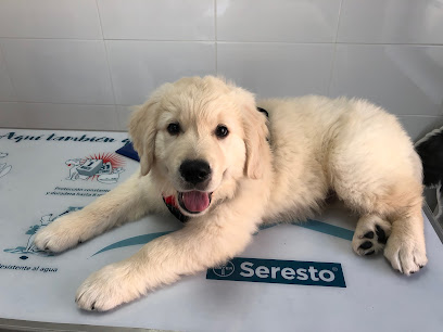 Clínica Veterinaria NavalVet 1 Veterinario Clínica Veterinaria NavalVet