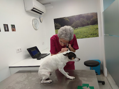 Clínica Veterinària Núria Plana 1 Veterinario Clínica Veterinària Núria Plana