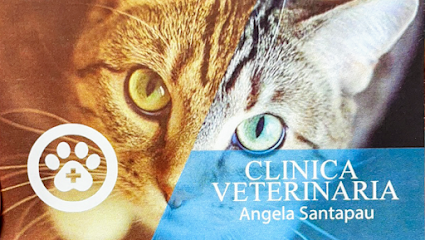 Clínica Veterinaria Oliva. Ángela Santapau 1 Veterinario Clínica Veterinaria Oliva. Ángela Santapau
