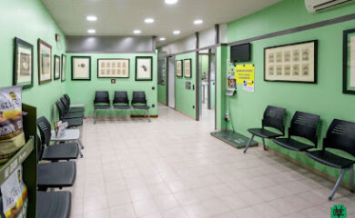 Veterinario Clínica Veterinària Olot