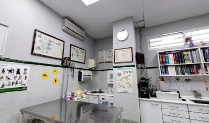 Veterinario Clínica Veterinaria Panda