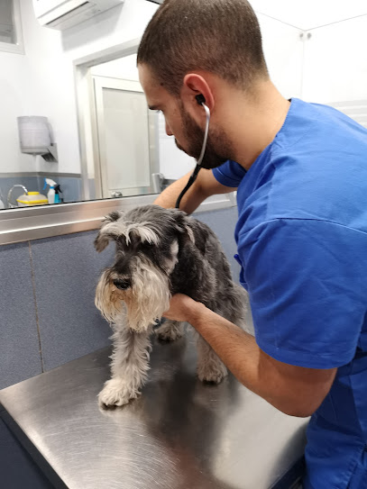 Clínica Veterinaria Postas 1 Veterinario Clínica Veterinaria Postas