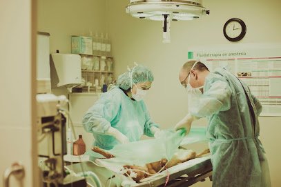 Veterinario Clínica Veterinària Quatre Camins