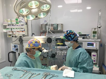 Veterinario Clínica Veterinaria Romareda - Veterinarios Zaragoza