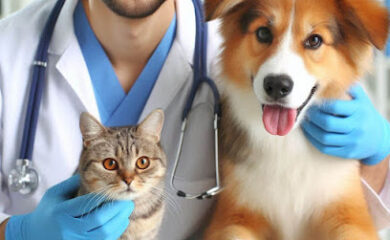 Veterinario Clínica Veterinaria Roquetas