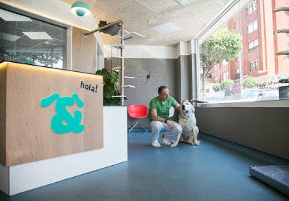 Veterinario Clinica Veterinaria Ruiz y Menta