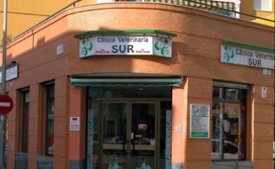 Veterinario Clinica Veterinaria "SUR"