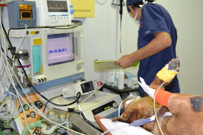Clínica Veterinaria San Antón 1 Veterinario Clínica Veterinaria San Antón