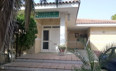 Veterinario Clinica Veterinaria San Antoni