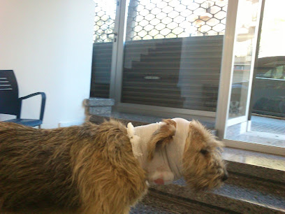 Clinica Veterinaria San Fernando, Palma de Mallorca 1 Veterinario Clinica Veterinaria San Fernando, Palma de Mallorca