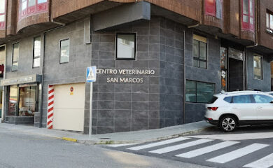 Veterinario Clínica Veterinaria San Marcos