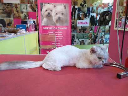 Veterinario Clínica Veterinaria San Patricio