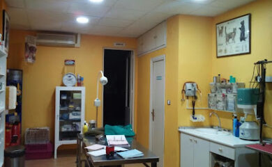 Veterinarios en Cieza 3 Veterinario Clínica Veterinaria San Sebastian