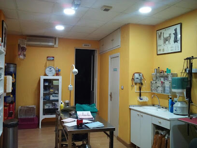 Clínica Veterinaria San Sebastian 1 Veterinario Clínica Veterinaria San Sebastian
